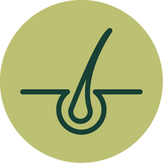 background shape